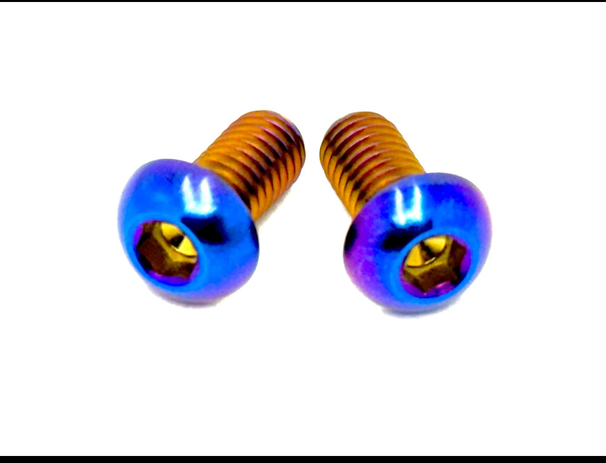 Ignition cover titanium bolts